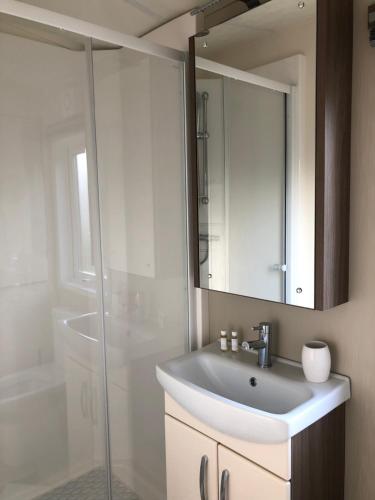 uma casa de banho com um lavatório, um chuveiro e um espelho. em Moonlight Ridge -2 bedroom lodge with hot tub em Felton