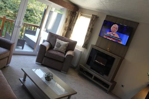 a living room with a fireplace and a tv at Moonlight Ridge -2 bedroom lodge with hot tub in Felton