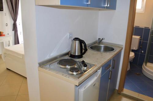 Kuchyň nebo kuchyňský kout v ubytování Villa Rihter