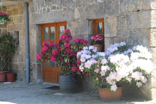 Ein Garten an der Unterkunft la maison de pierre