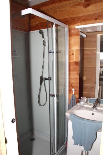 une salle de bain avec douche et lavabo dans l'établissement LE GRENIER, à Mépin