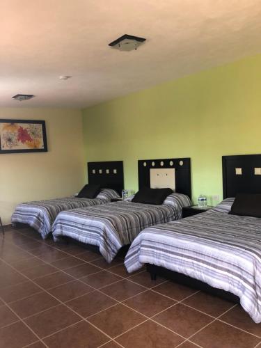 três camas num quarto com paredes verdes em Posada Quinta Alejandra em Bernal