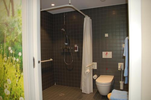een badkamer met een douche en een toilet bij Péitche Lauer in Useldange