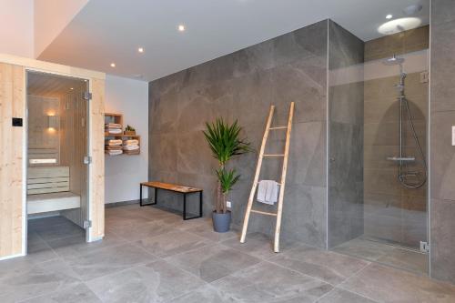a bathroom with a shower and a ladder and a plant at Gîte de Munt'Z SPA, Sauna, piscine, proche de Colmar in Muntzenheim