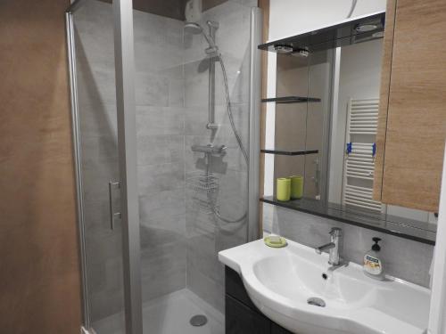 y baño con ducha, lavabo y espejo. en Appartement hyper centre ville au calme, en Besançon
