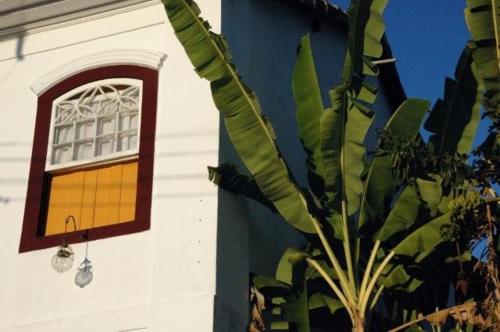 a plant next to a building with a window at Pousada do Ouro in Paraty