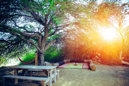 a bed under a tree next to a picnic table at Negev Camel Ranch in Dimona
