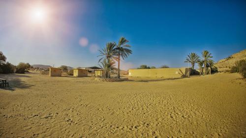 a desert with palm trees and a yellow building at Negev Camel Ranch in Dimona
