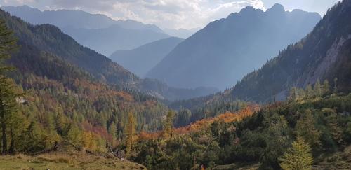 a view of a valley with trees and mountains at SavaDolinka House in Mojstrana