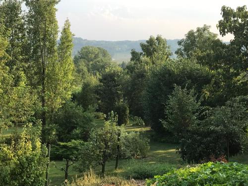 a view of a garden with trees and grass at Villa Belforte in Tonco
