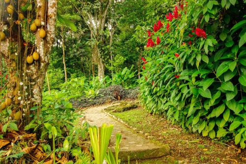 a path in a garden with red flowers and plants at Hostal Pakay in Tena