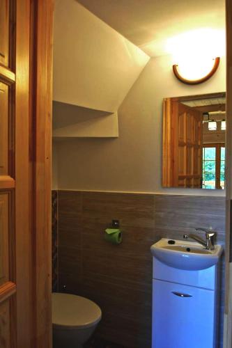 a bathroom with a sink and a toilet and a mirror at Domek na Kamieńcu in Witów