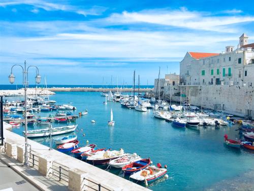 a group of boats are docked in a harbor at Palazzo Framarino dei Malatesta - Noble Floor - XIV Century in Giovinazzo