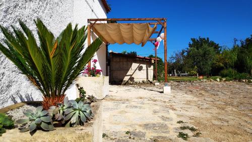 a umbrella and some plants and a house at Louro's Villa - 12130AL in Cantanhede