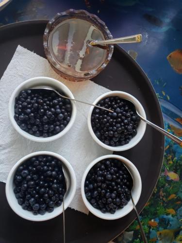 four bowls of blackberries sitting on a plate at Sadyba Medova nasoloda in Guta