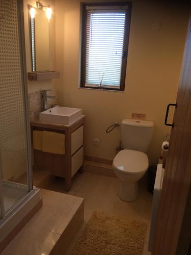 une salle de bain avec toilettes, lavabo et fenêtre dans l'établissement The Lodge, à Les Dognons