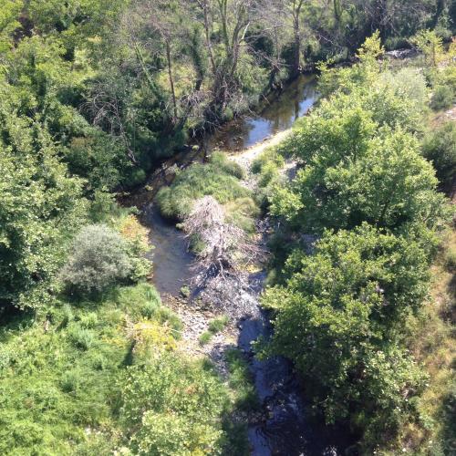 an aerial view of a river in a forest at Gourgiana Apartments in Andritsaina