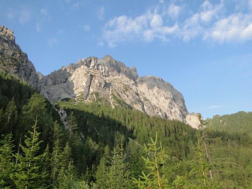a mountain in the middle of a forest at Apartment Lilly in Lienz