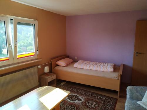 ein kleines Schlafzimmer mit einem Bett und einem Fenster in der Unterkunft Ferienwohnung Gönnern - Marburg Biedenkopf mit 5 Zimmer - 2 Badezimmer in Gönnern