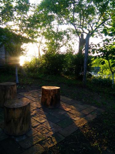 two tree stumps sitting on a stone ground in a park at Kuća za odmor Mirni kutak Vukovar in Vukovar