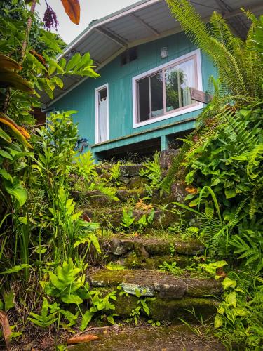 a blue house with a white window and plants at Gingerhill Farm Retreat in Kealakekua