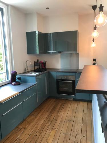 Il comprend une cuisine avec des placards verts et du parquet. dans l'établissement bord de seine, à Bar-sur-Seine