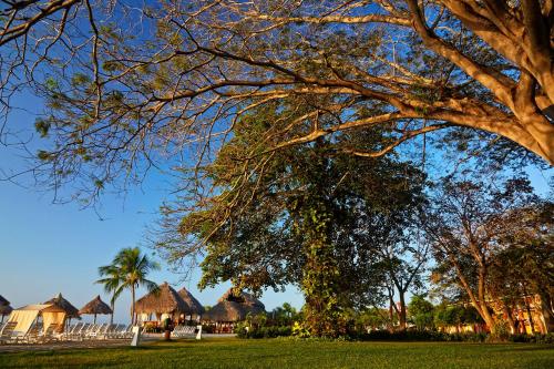 Jardin de l'établissement Grand Decameron Panama, A Trademark All Inclusive Resort