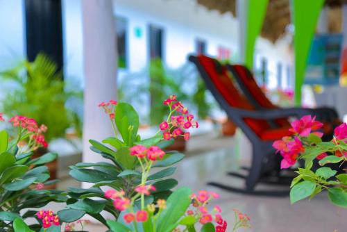 Taman di luar Casa Hotel Las Antillas