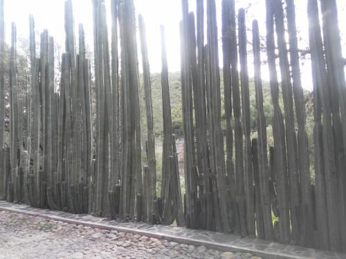 a fence with the sun shining through the trees at Casa de Cactus in Bernal