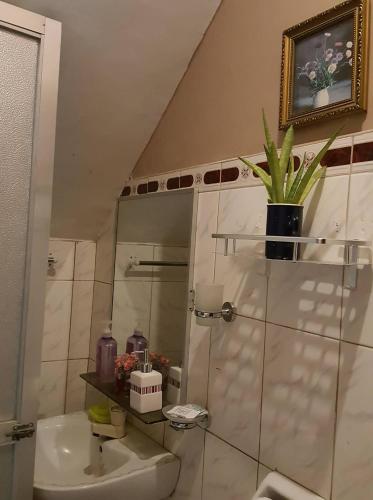 a bathroom with a shower and a toilet and a sink at Center Parkway Pension House in Kalibo