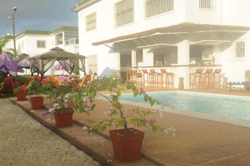 a group of potted plants next to a swimming pool at Residence Helios in Abidjan