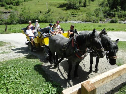 a group of people riding in a horse drawn carriage at Apartment Lilly in Lienz
