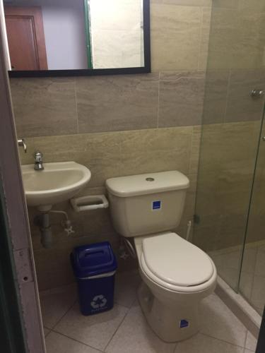 拉平塔達的住宿－Finca Hotel Pinares，一间带卫生间和水槽的浴室