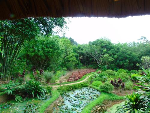 a garden view from the window of a house at Panhou Retreat in Ha Giang