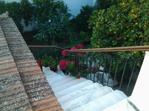 a stairway with flowers and plants on it at Studios Maro in Skala Kallonis