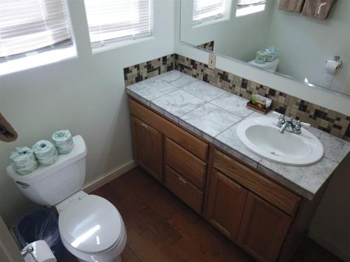 La salle de bains est pourvue de toilettes, d'un lavabo et d'un miroir. dans l'établissement Rainbow Ridge B - 1BR/1BA, à June Lake