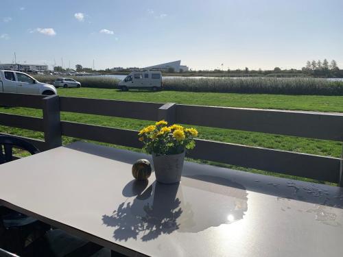 a table with a vase with yellow flowers on it at Tangloppen Camping & Cottages in Ishøj