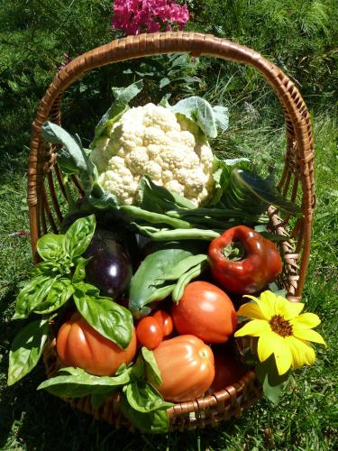 a basket full of vegetables sitting on the grass at Gfliererhof in Fiè