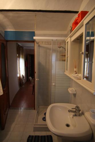 a bathroom with a shower and a white sink at Il sogno di maggy in Asti