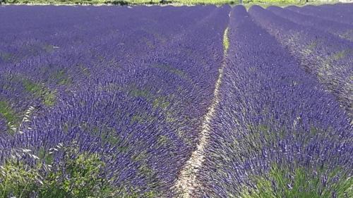Gambar di galeri bagi Louminai di Donzère