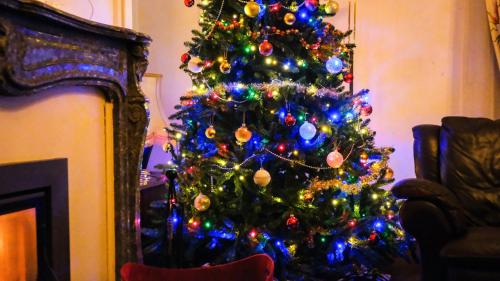 a christmas tree in a living room next to a fireplace at Private Castle with Park - Château Guillermo in La Moncelle