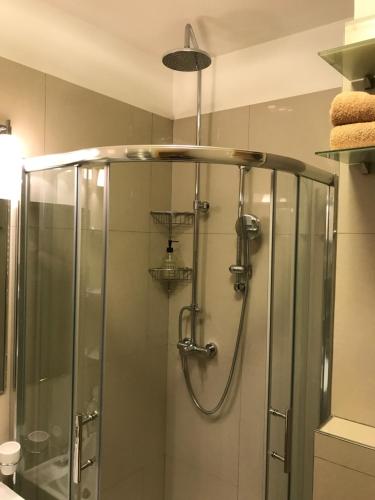 y baño con ducha y puerta de cristal. en Apartmán Astor en Špindlerův Mlýn