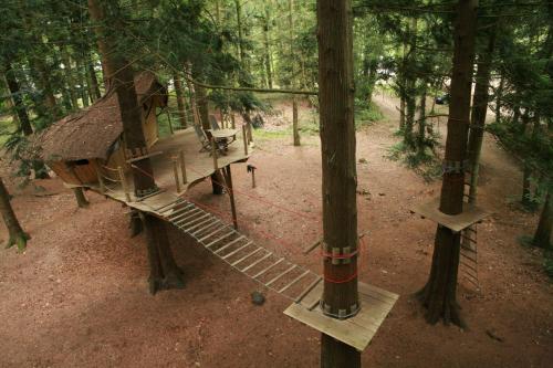 Insolite dans les arbres Les Ormes, Epiniac – Photos 4