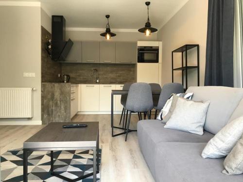 Ruang duduk di "10" SŁOŃCE WODA LAS - Apartament No10 Garaż w cenie