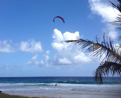 a person is flying a kite on the beach at Treehouse Apartment at La Lodge at Long Bay in Corn Island