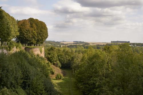 Vue aérienne d'une forêt d'arbres dans l'établissement pieuX, à Montreuil-sur-Mer