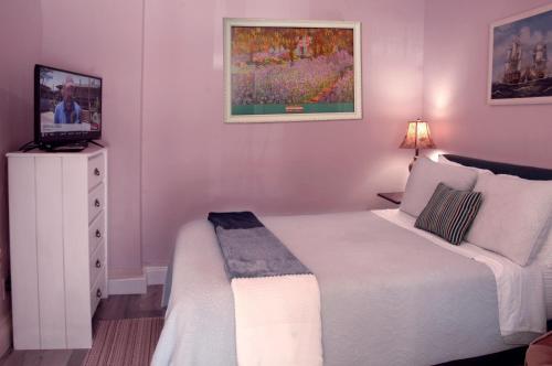 a bedroom with a bed and a tv on a cabinet at Adorable Historic Downtown Apartment in Saint Augustine