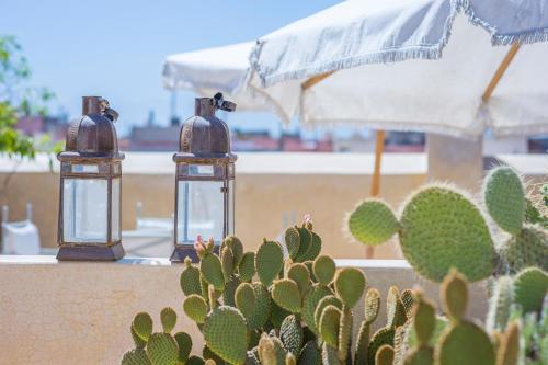 two glass lanterns sitting on a wall next to a cactus at Riad Azoulay in Marrakech