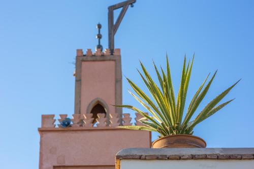 a plant in a pot on a wall with a tower at Riad Azoulay in Marrakech
