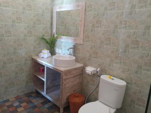 ein Badezimmer mit einem WC, einem Waschbecken und einem Spiegel in der Unterkunft Lebaoh Nusa Cottage in Nusa Lembongan